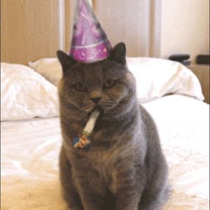 Meet your Posher, Margaret